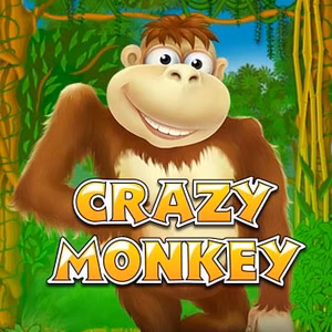 crazy monkey